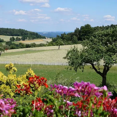 Konukevi Kordula Straub Waldfenster