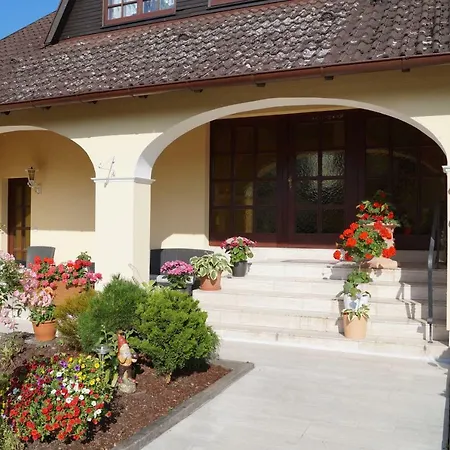 Kordula Straub Waldfenster